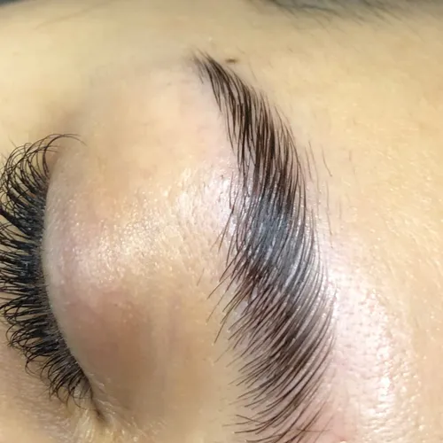 Laminado de Cejas + Full Nutricion  (SIN perfilado)