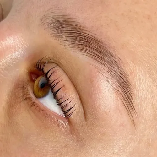 Laminado de cejas + Nutrición🧬