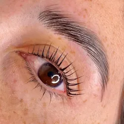 Combo Cejas🪽