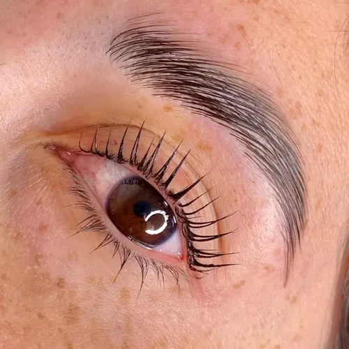 Combo Cejas🪽