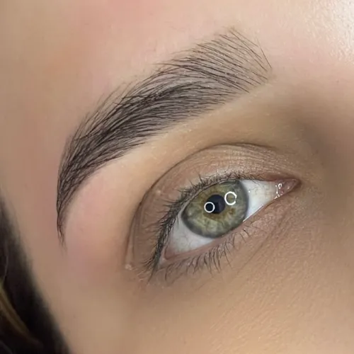Perfect Brows (Bozo de regalo)