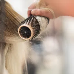   Brushing 