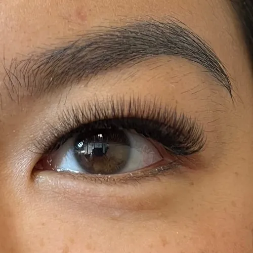 Volumen 4D Tecnológico