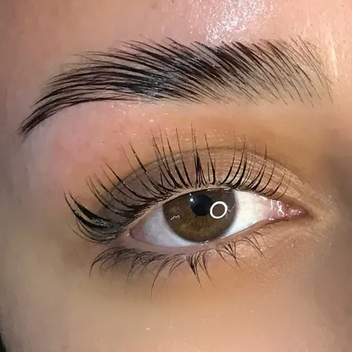 Laminado de cejas