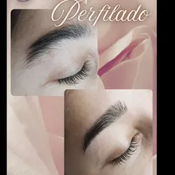 Diseño y Perfilado de cejas