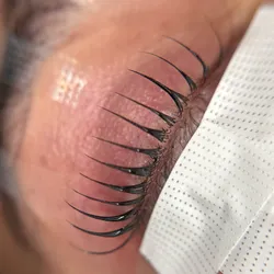 Lash Lift Coreano Banhada + Brow Lami + Perfi