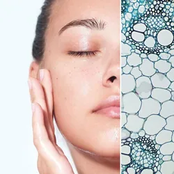 EXOSOMAS | REVITALIZACION