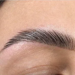 Laminado de cejas (incluye perfilado) 