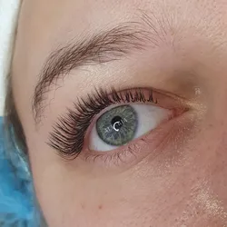 Efectos en tendencia en wet effect/ efecto húmedo 