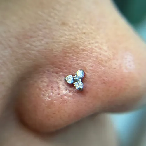 NOSTRIL DISEÑO + PERFO