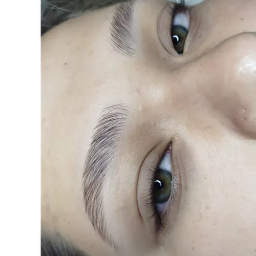 Laminado de cejas+ perfil.