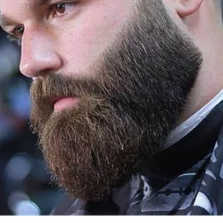 Barba