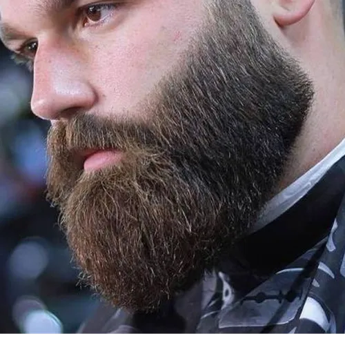 Barba