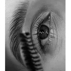 Tinte + Perfilado + Laminado Cejas