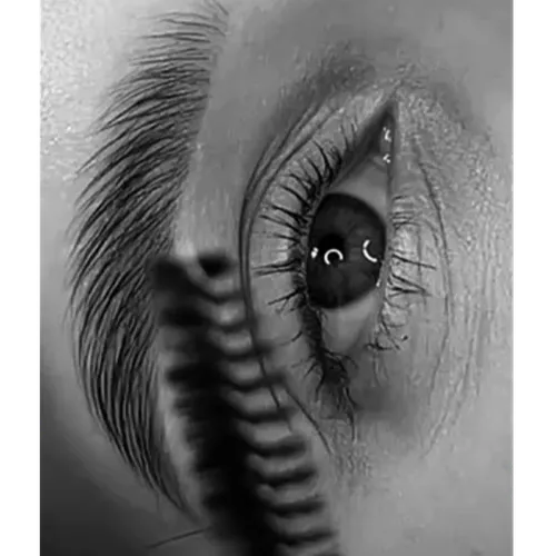 Tinte + Perfilado + Laminado Cejas