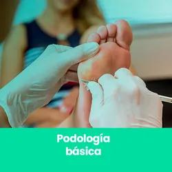 Podología Básica