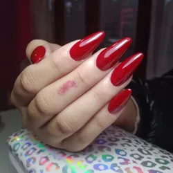 Service de esculpidas 