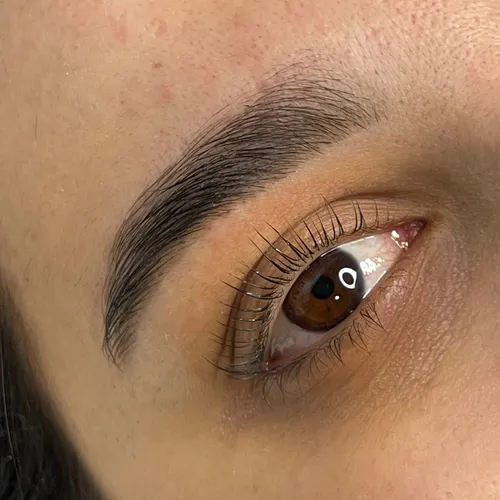 Perfilado de Cejas + Henna o Tinte