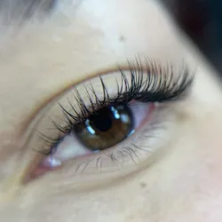  Extensiones clásicas 