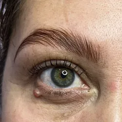 Laminado de cejas ( perfilado con pincita + nutrición)
