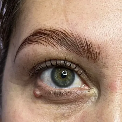 Laminado de cejas ( perfilado con pincita + nutrición)