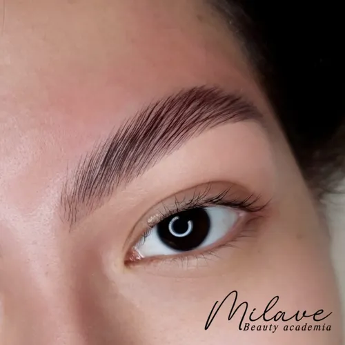 Brow Lamination ( no incluye color)