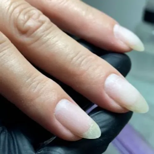 Manicuria