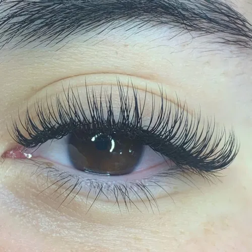 EXTENSIONES CLASICAS