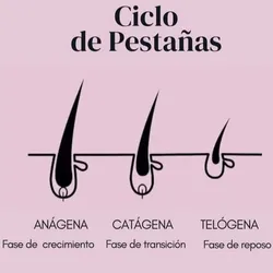 Retirado de extensiones 
