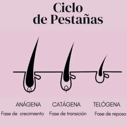 Retirado de extensiones 