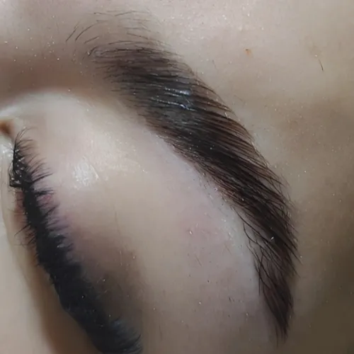 LAMINADO 