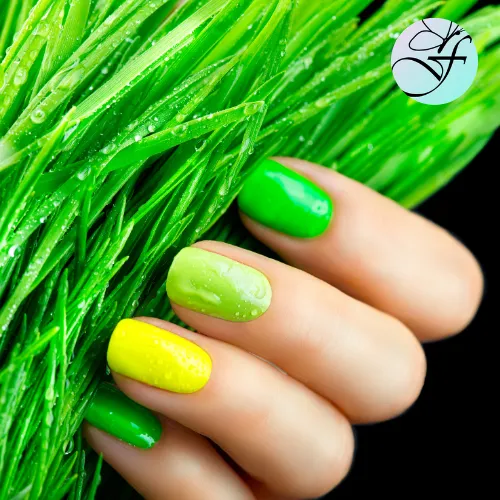 Service de Esculpido en polygel + deco