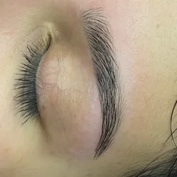 Perfilado de Cejas