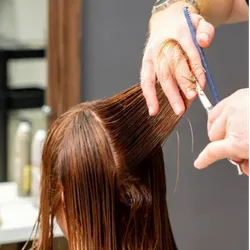 Corte Femenino (incluye lavado y secado )
