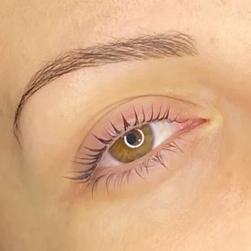 Diseño de cejas mas tinte con Cami