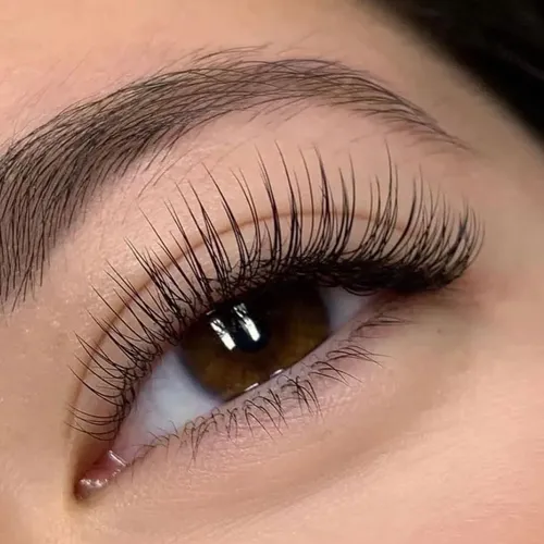 EXTENSIONES CLÁSICAS 