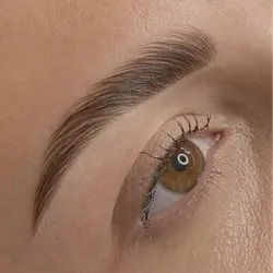 Laminado (Cejas Premium)