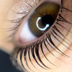 Lash lifting,Nutricion y color