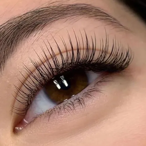 Extensiones clasicas