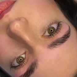 Laminado de cejas nutritivo (SIN PERFILADO)