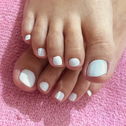 Pies