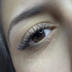 Extensiones hibridas