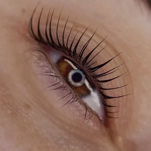 Lash Lifting + Nutrición+ Tinte 