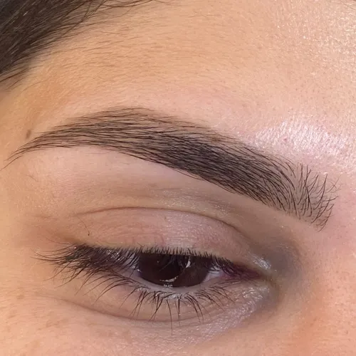 Diseño, Perfilado y Tinte en Cejas