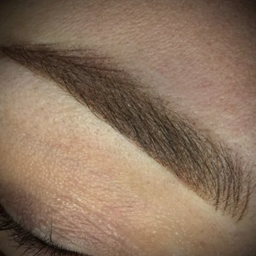 Micropigmentación de Cejas efecto Fusion (1er sesión)