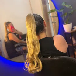 Coleta de Extensiones 