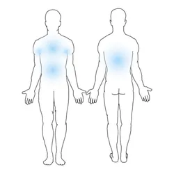 PROMO 8: axilas + pecho + abdomen + espalda