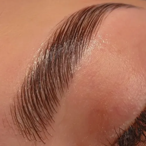 LAMINADO DE CEJAS
