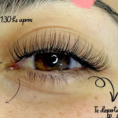 extensiones clasicas 
