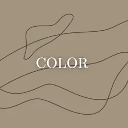 COLOR- coloracion premium ALFAPARF//SCHWARZKOPF  retoque de raiz hasta 2 cm , mas lavado libre de metales pesados para que el color no se oxide e incluye brushing